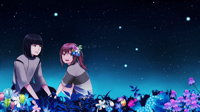 Обои картинки фото аниме, spirited away, девушка, цветок, небо, звезды, парень, унесенные, призраками, spirited, away, арт, ogino, chihiro, haku, двое, хаяо, миядзаки