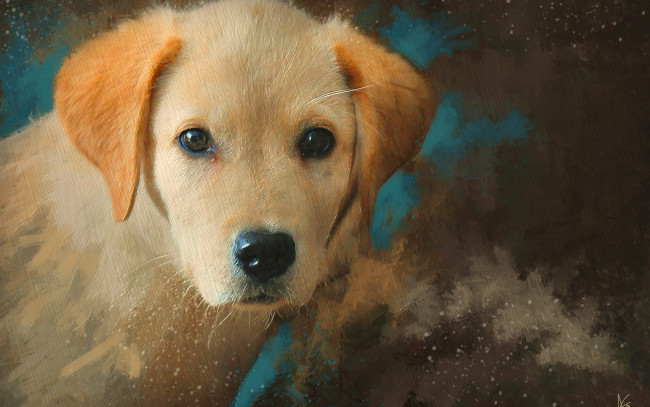 Обои картинки фото рисованное, животные,  собаки, собака, щенок, морда, портрет, рыжий, живопись, картина, рисунок, мазки