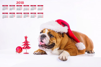 обоя календари, животные, игрушка, шапка, елка, взгляд, 2018, собака