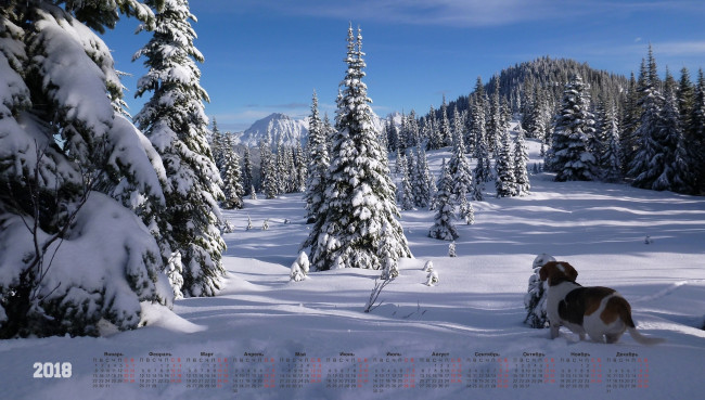 Обои картинки фото календари, животные, деревья, снег, зима, 2018, собака