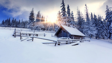 Картинка разное развалины +руины +металлолом забор лес дом снег