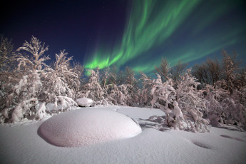 Картинка природа северное+сияние деревья снег