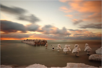 Картинка природа побережье море соль