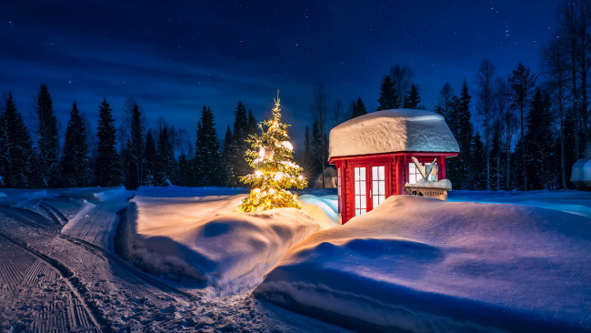 Обои картинки фото праздничные, ёлки, снег, елка, сугробы, будка