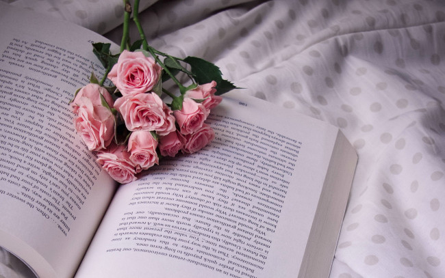 Обои картинки фото цветы, розы, книга, ветка