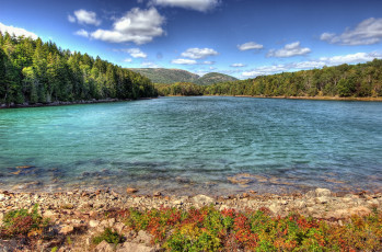 Картинка природа реки озера лес берег вода