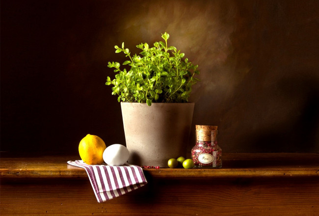 Обои картинки фото еда, натюрморт, базилик, перец, яйцо, лимон, оливки