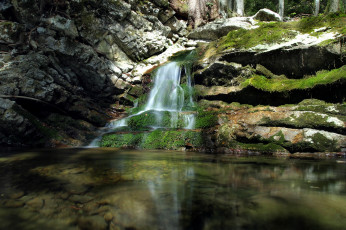 Картинка river salzach austria природа водопады водопад река лес