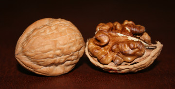 Картинка два грецких ореха еда орехи каштаны грецкие расколотый пара
