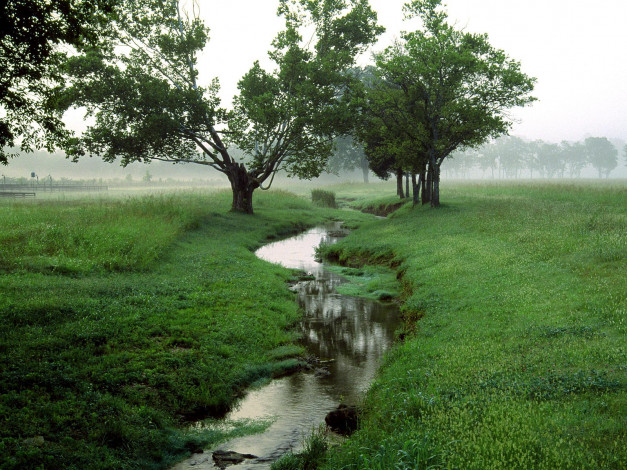 Обои картинки фото природа, реки, озера, ручей, деревья, туман, трава