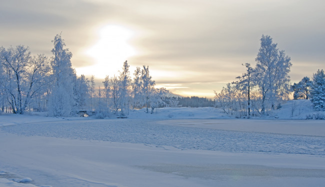 Обои картинки фото природа, зима, снег, деревья, мост