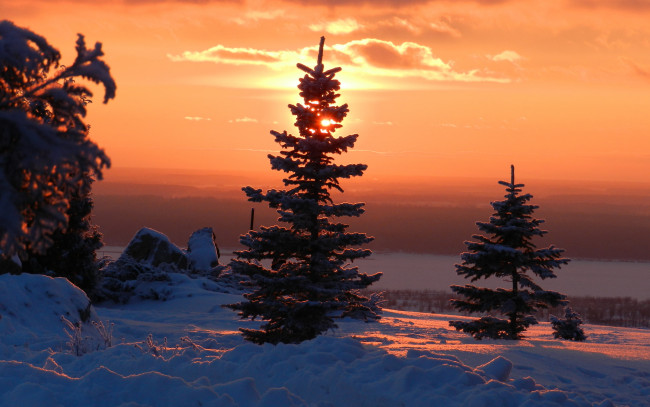 Обои картинки фото природа, зима, вечер, снег, сугробы, елки