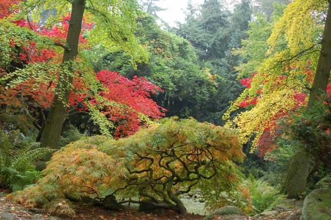 Обои картинки фото природа, парк, камни, деревья, осень