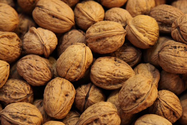 Обои картинки фото walnuts, еда, орехи, каштаны, много, грецкие