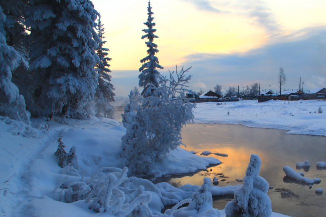 Обои картинки фото природа, зима, снег, елка