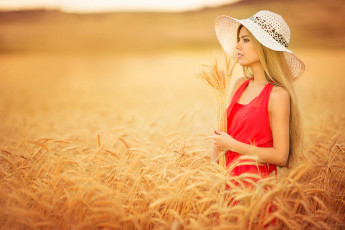 Картинка девушки -unsort+ блондинки поле колоски девушка в красном шляпка