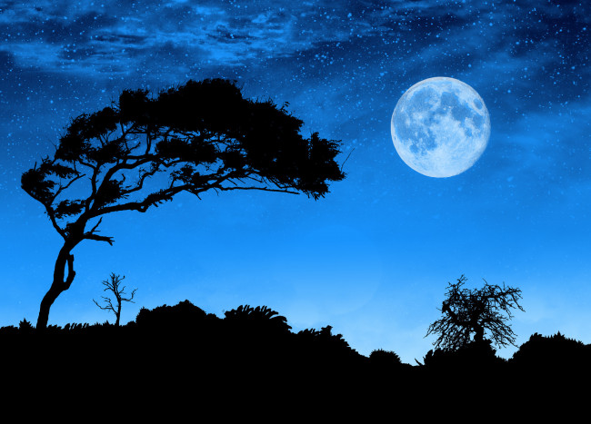 Обои картинки фото космос, луна, пейзаж, ночь, силуэты