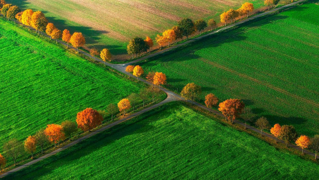 Обои картинки фото природа, поля, дороги, осень, зелень, деревья