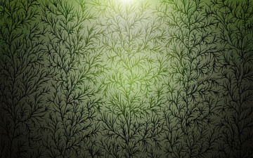 Картинка векторная+графика природа+ nature свет растения