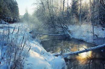 обоя природа, зима, деревья, река, снег