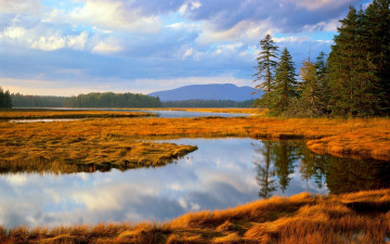 Картинка природа реки озера трава озеро лес