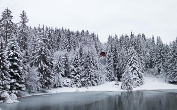 обоя природа, зима, ели, деревья, лес, дом, озеро, снег
