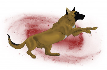 Картинка рисованное животные +собаки фон собака