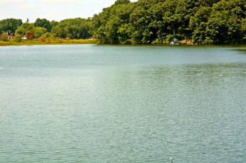 Картинка природа реки озера гладь водная