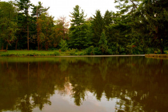 Картинка природа реки озера отражение лес