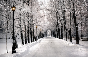 Картинка природа зима снег фонари аллея парк