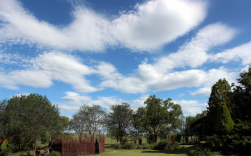 Картинка природа облака небо лето деревья