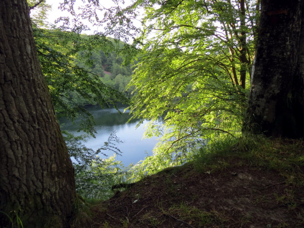 Обои картинки фото природа, реки, озера, зелень