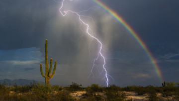 Картинка природа радуга дождь небо гроза молния кактусы