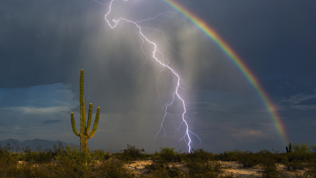 Обои картинки фото природа, радуга, дождь, небо, гроза, молния, кактусы