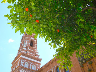 Картинка барселона города барселона+ испания растение здание