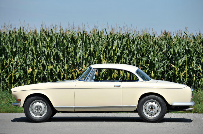 Обои картинки фото bmw 503 coupe by ghia aigle 1956, автомобили, bmw, 1956, aigle, ghia, coupe, 503