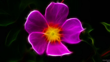 Картинка 3д графика flowers цветы узор фон темный цветок цвета