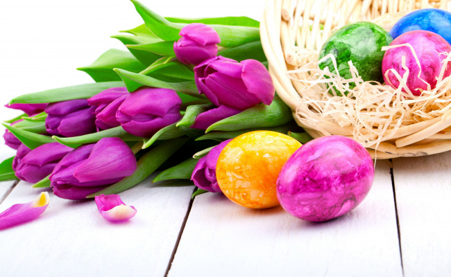 Обои картинки фото праздничные, пасха, лепестки, цветы, яйца, крашенки, бутоны, тюльпаны