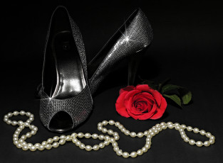 Картинка разное украшения +аксессуары +веера ожерелье роза туфля