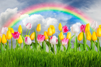 Картинка разное компьютерный+дизайн colorful rainbow sunshine sky tulips flowers цветы grass spring тюльпаны весна meadow