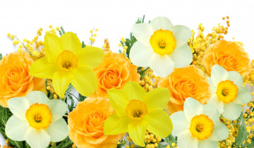 Картинка цветы разные+вместе spring flowers mimosa daffodils yellow white delicate мимоза нарциссы желтый белый весна