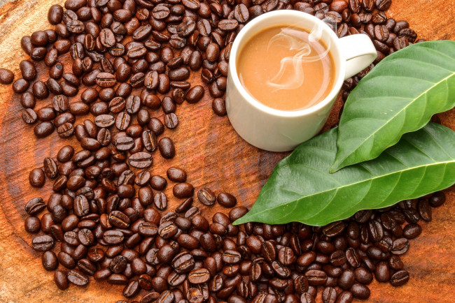 Обои картинки фото еда, кофе,  кофейные зёрна, кружка, пена, кофейные, зёрна, листья, стол