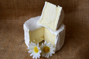 Картинка delice+des+cr& 233 miers еда сырные+изделия сыр