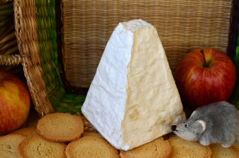 Картинка hircus еда сырные+изделия сыр