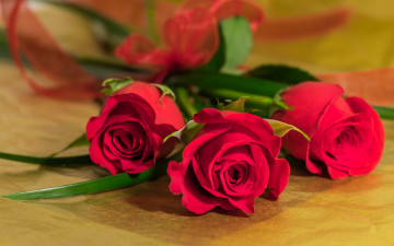 Картинка цветы розы бутоны букет трио