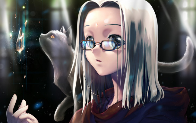 Обои картинки фото аниме, животные,  существа, девушка, очки, кристалл, белые, волосы, кошка