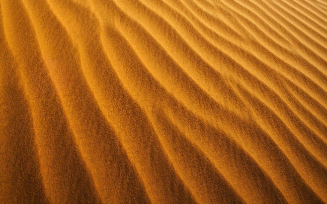 Обои картинки фото природа, пустыни, песок, дюны
