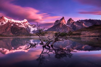 Картинка природа реки озера горы отражения южная америка дерево Чили озеро патагония