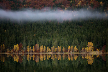 Картинка природа реки озера туман озеро река осень лес