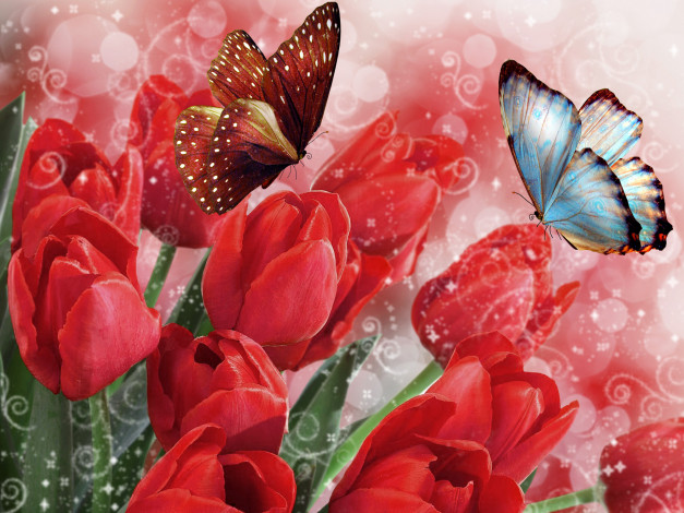 Обои картинки фото разное, компьютерный дизайн, весна, тюльпаны, бабочки